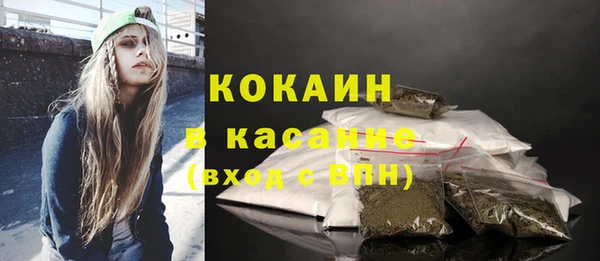 дмт Заводоуковск