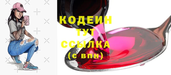 дмт Заводоуковск