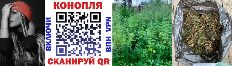 Купить где  Гай  Конопля конопля 